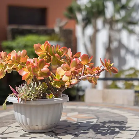 Home2book Cozy With Jacuzzi & Terrace Διαμέρισμα