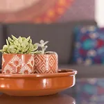 Апартаменты Home2book Casa Kiky - Cosy With Jacuzzi