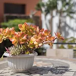 Home2book Casa Kiky - Cosy With Jacuzzi Апартаменты